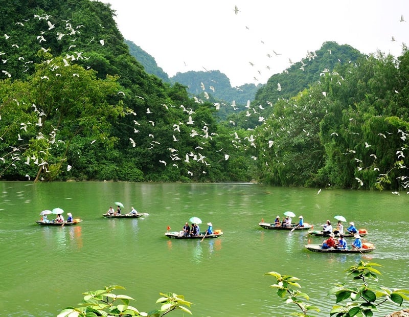松芽鳥園