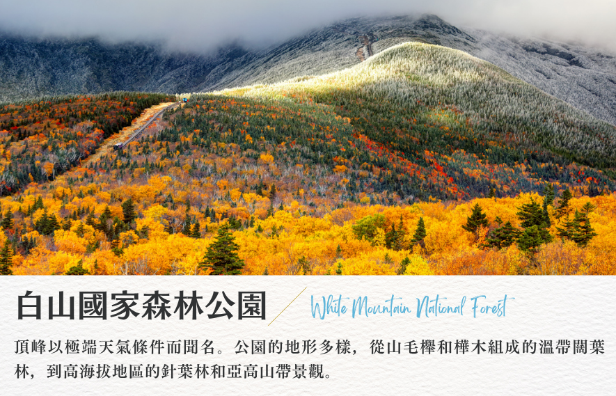 白山國家森林公園